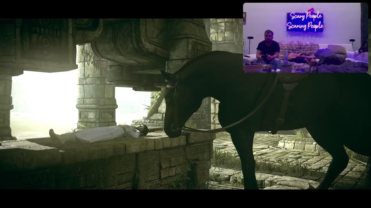 Shadow of the Colossus.