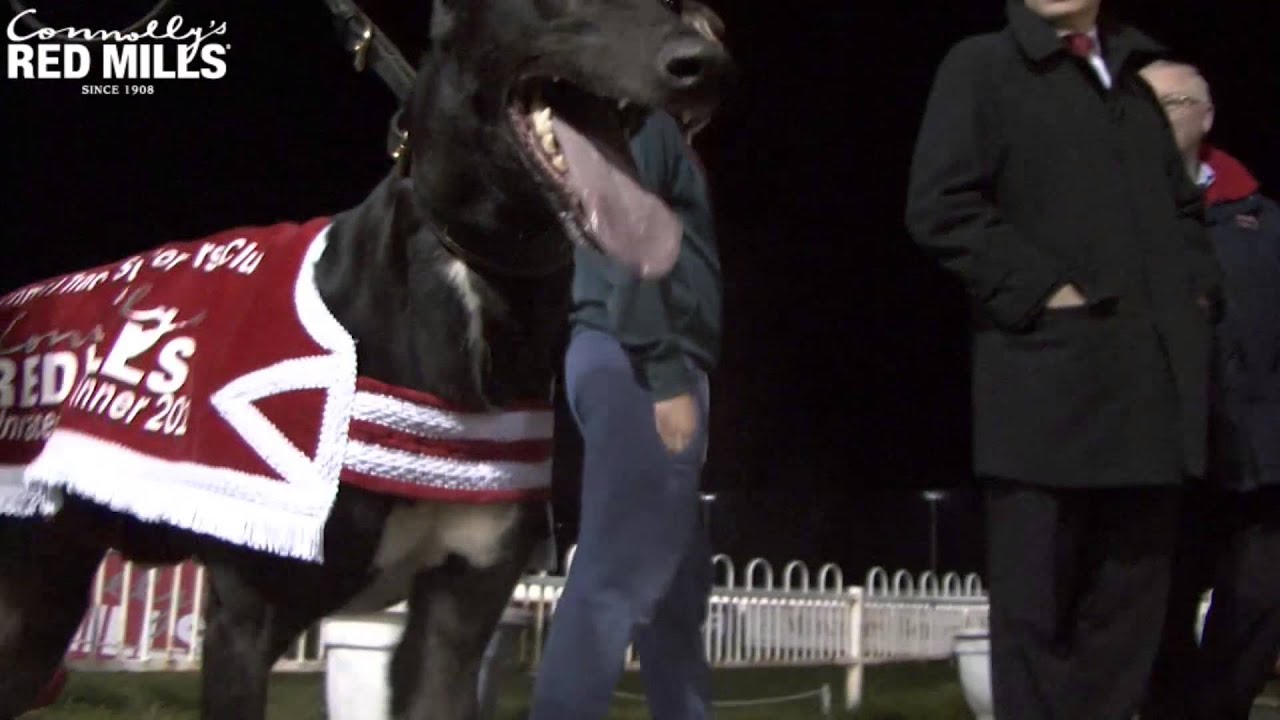 RED MILLS/Clonmel TSC Open Unraced Stake Final