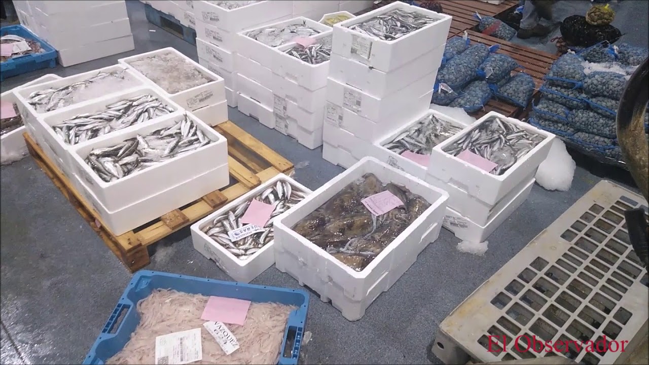 Mercado del pescado en Mercamalaga