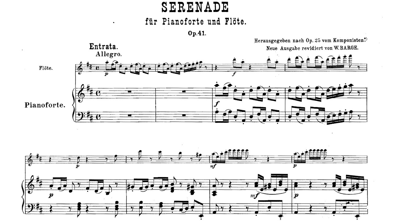 Ludwig Van Beethoven | Serenade in D Major Op.41 for flute and piano (with score)