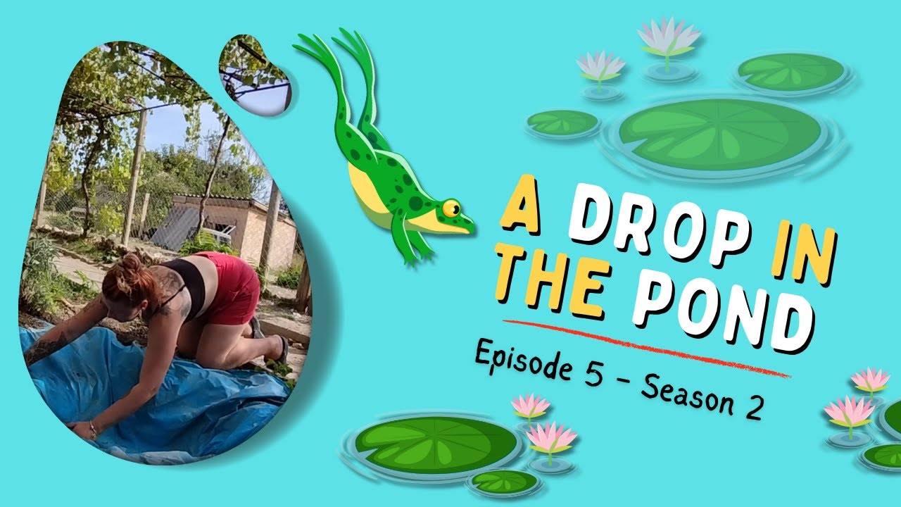 Episode 5 - A Drop In The Pond | Building A Pond At Our Bulgarian Farmhouse
