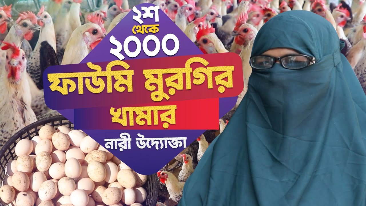 ২০০ থেকে ২০০০ ফাউমি মুরগির খামার - সফল নারী উদ্যোক্তা | ফাউমি মুরগি পালন পদ্ধতি | faumi murgi khamar