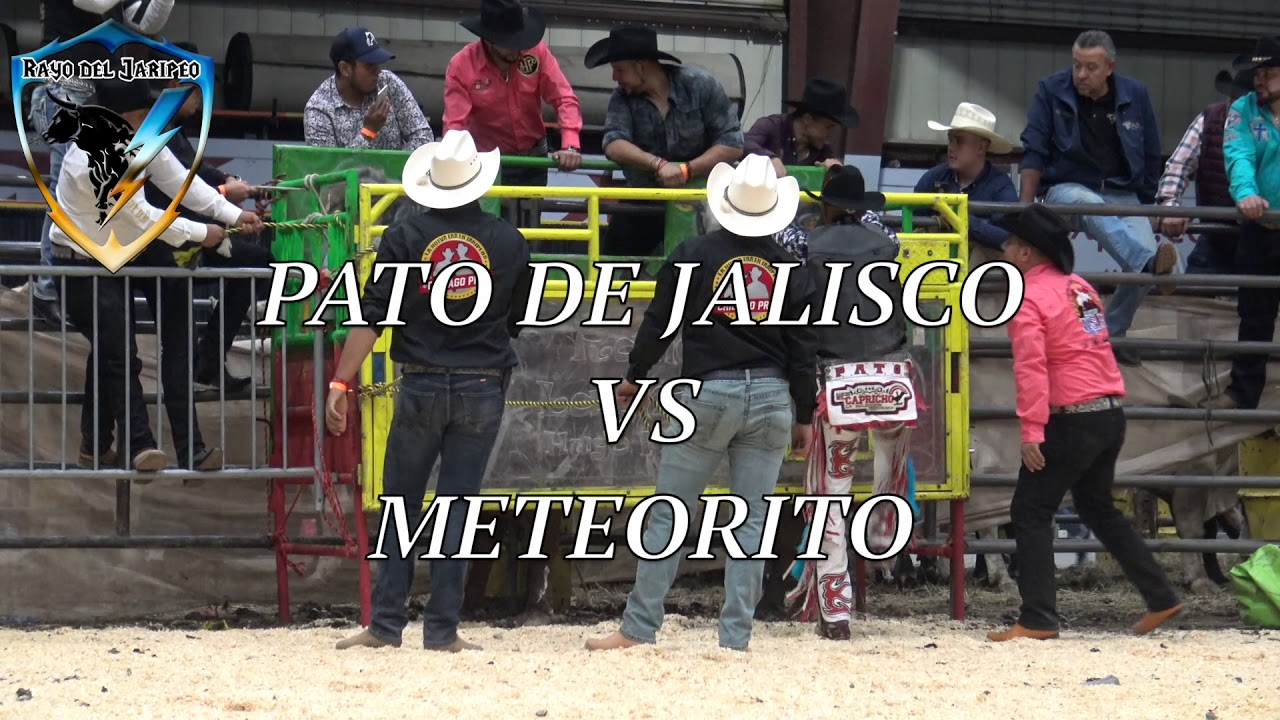 !!LA RAPIDES DE ESTE TORO NO FUE NADA PARA EL JINETE!! PATO DE JALISCO VS METEORITO