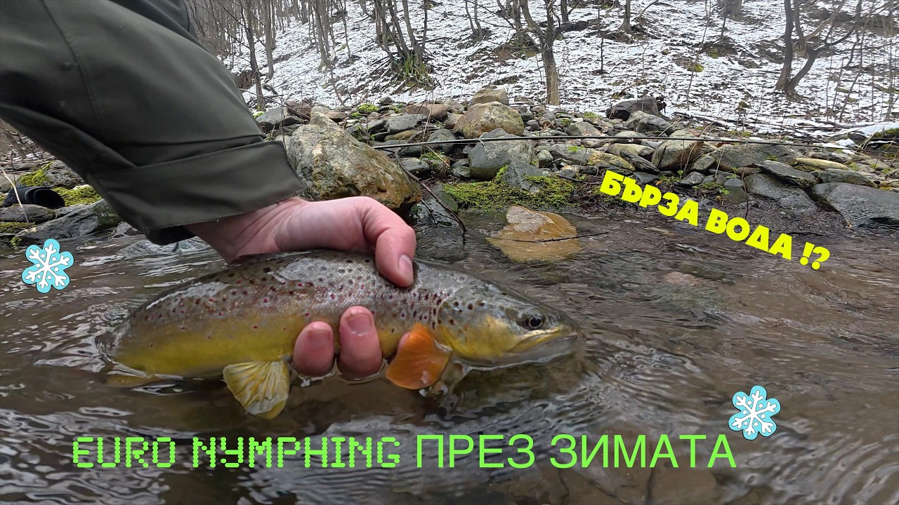 Euro nymphing през зимата | Euro nymphing in winter