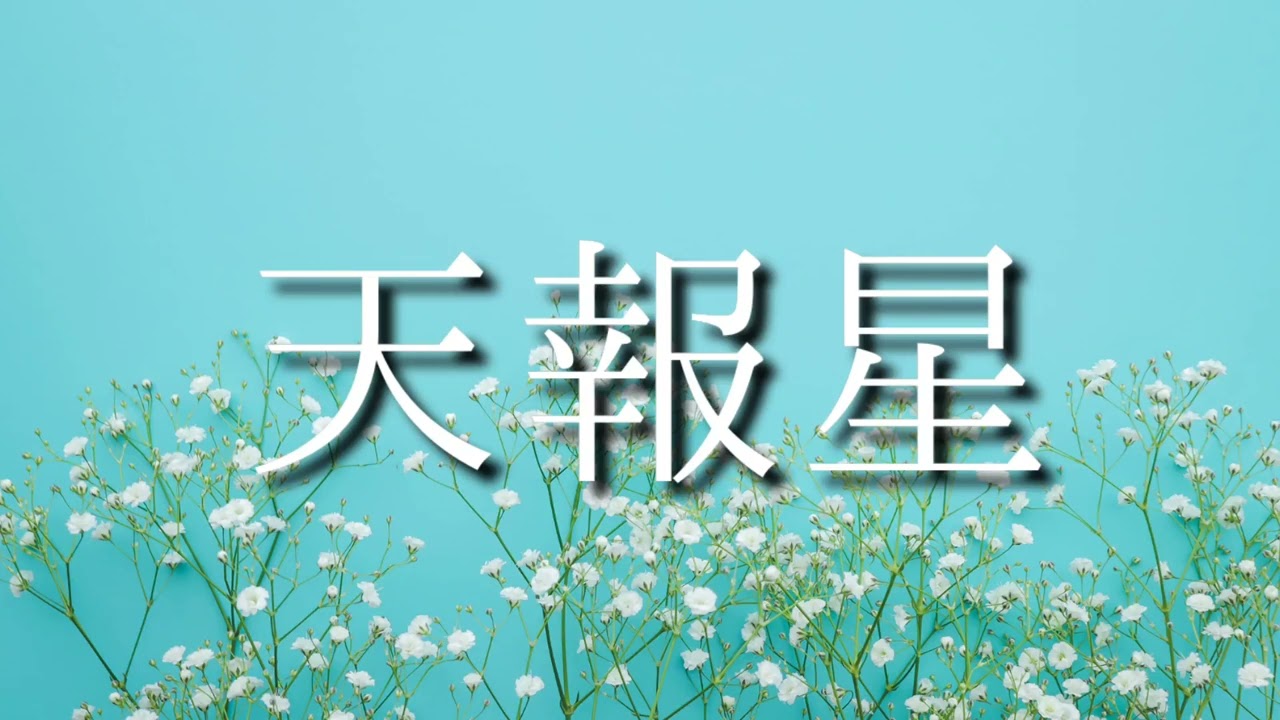 【算命学】十二大従星・天報星