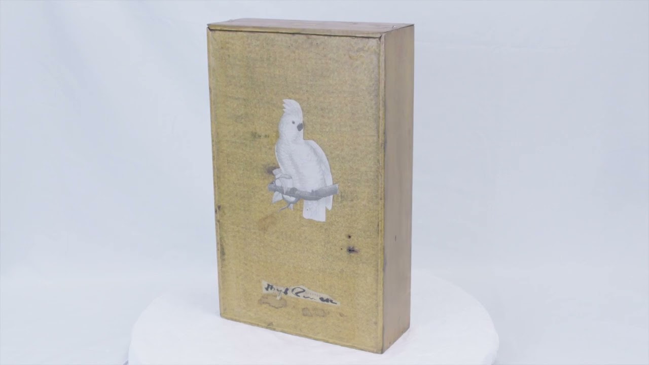 Writer&rsquo;s Eye 2022 Spotlight Talk: Cornell &ldquo; Untitled (Juan Gris Series, Black Cockatoo Silhouette)&rdquo;