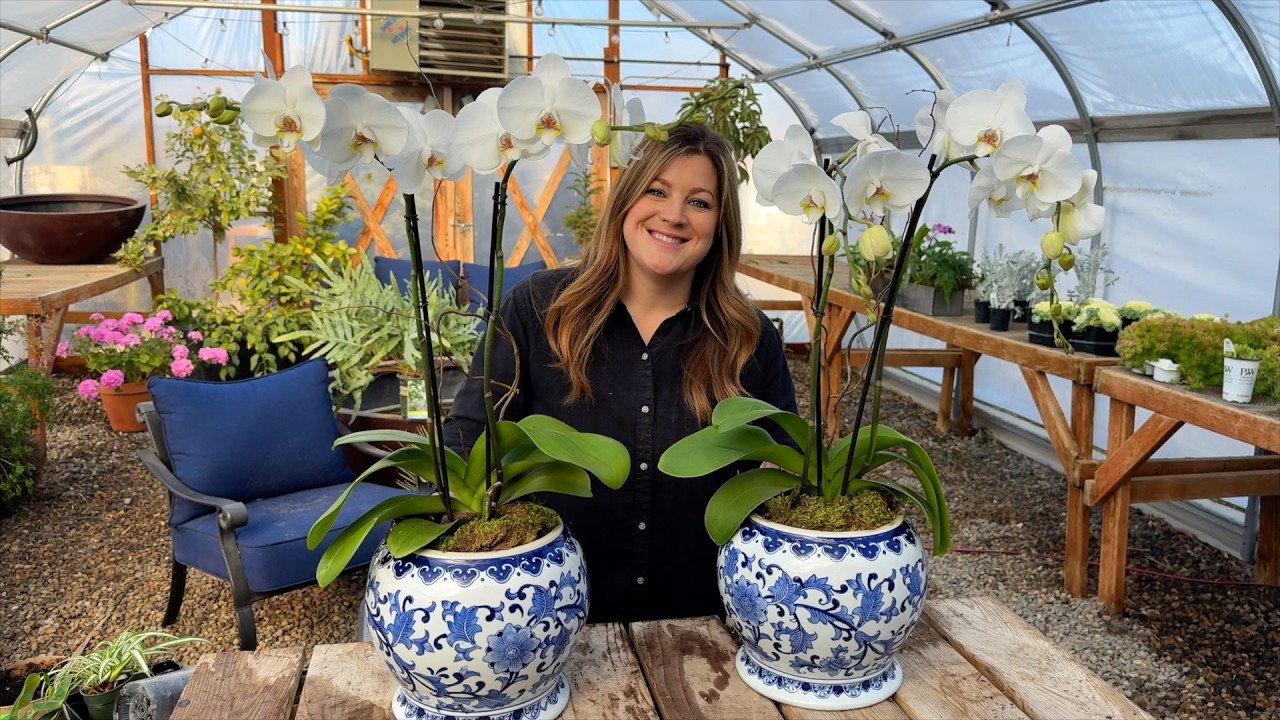 New Plants for a New Year: Fern Centerpiece & Gorgeous Orchids! 🌿🪴🌿 // Garden Answer