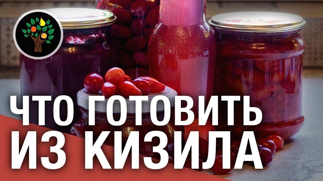 Кизил: что из него можно приготовить