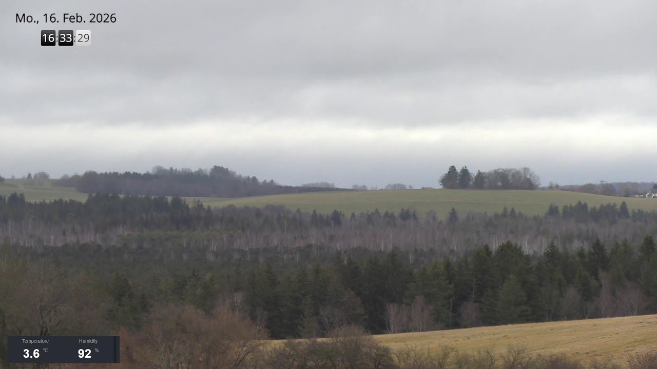 2026 02 16 Wurzacher Ried