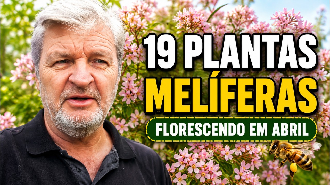 19 Plantas Melíferas  Florescendo no dia 20 de Abril  2022
