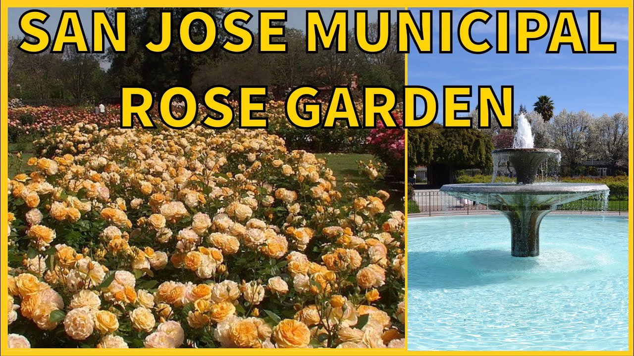 San Jose Municipal Rose Garden - Tour 