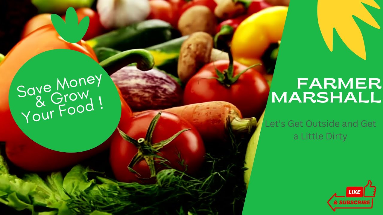 Unbelievable: How to Cut Your Grocery Bill on Vegetables!