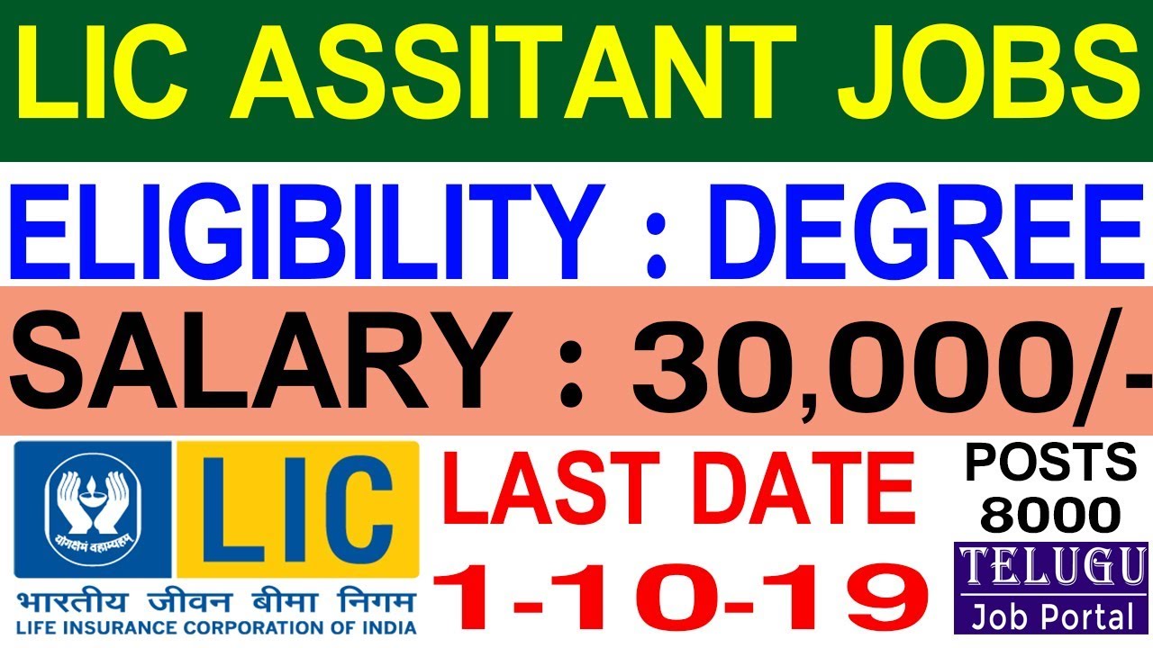 LIC Assistant Notification 2019 | LIC Recruitment 2019 Assistant | LIC Jobs 2019 | Telugu Job Portal