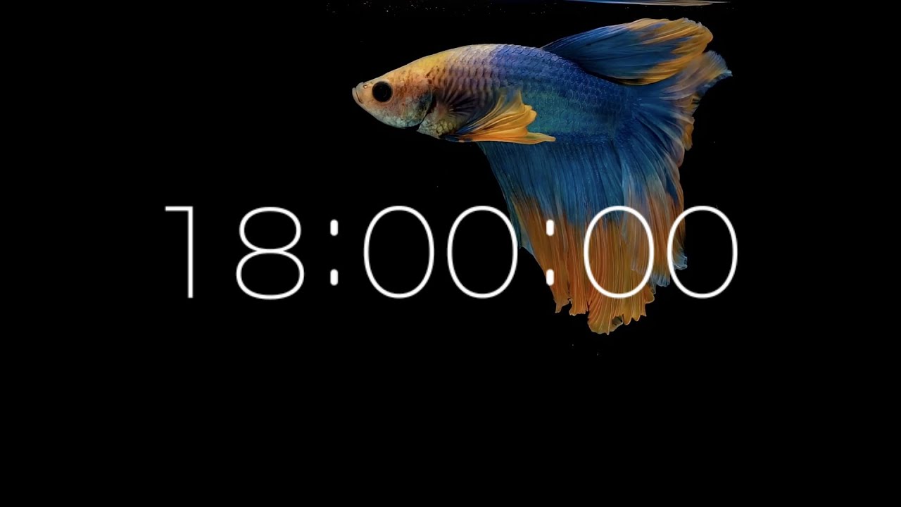 18 Minute Classroom Timer with Soft Music | 4K Calm Visual | Produced by SoniCentric