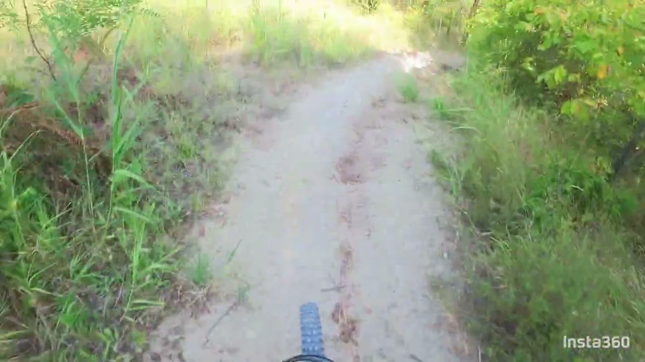 MTB: DH 4 Passeri