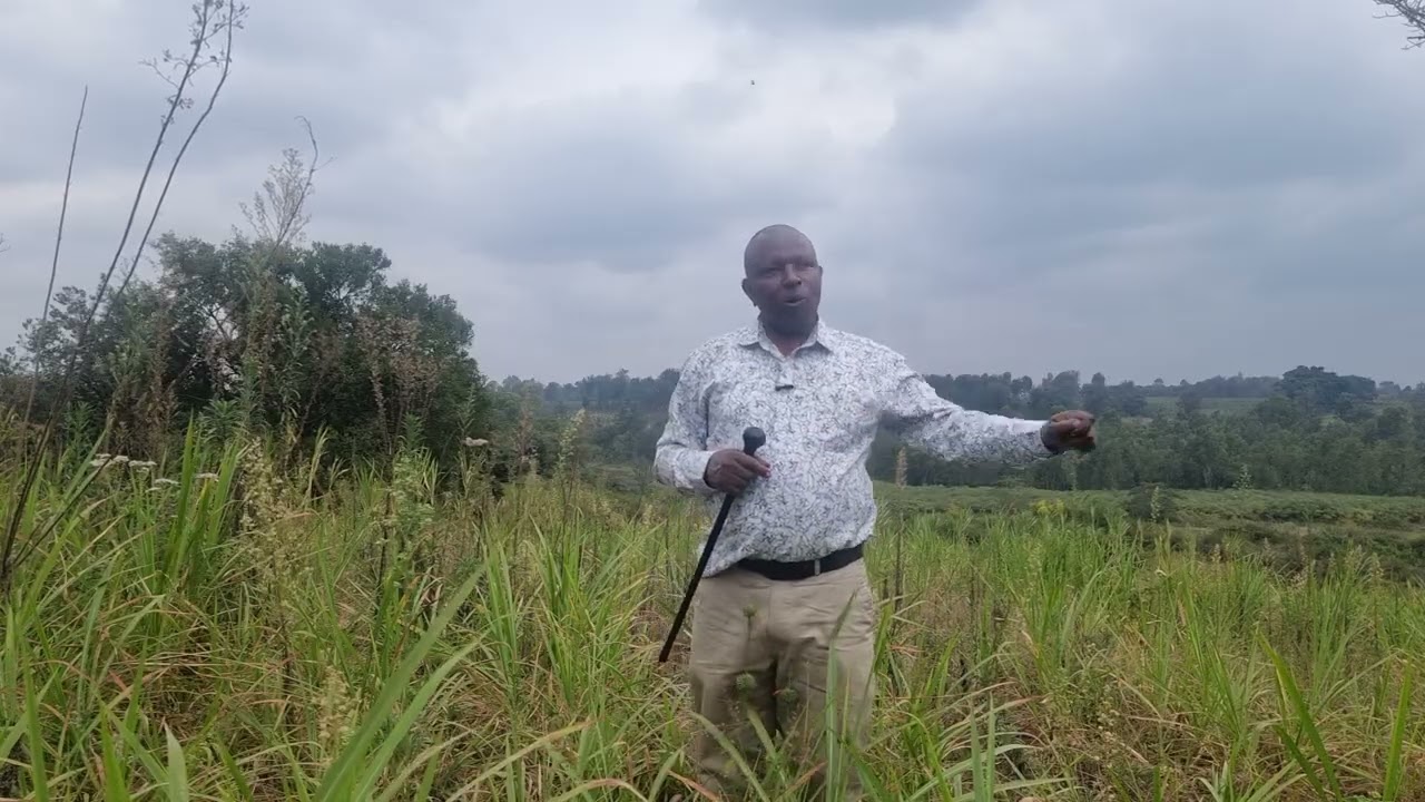 Kĩhiko kĩgiĩ mũgĩkũyũ mwana nĩ wa mwena wa nyina ũtaracĩtie.