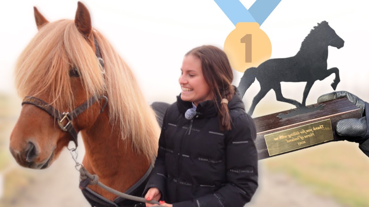 TURNIER in ISLAND nach nur 4 Tagen Training! 😱🇮🇸🥇@horsesoficeland 