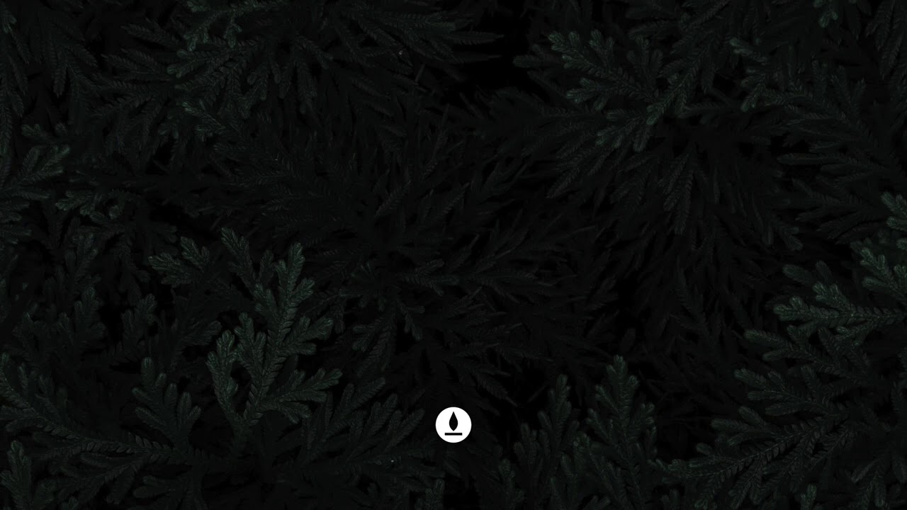 (FREE) Drake Type Beat - 