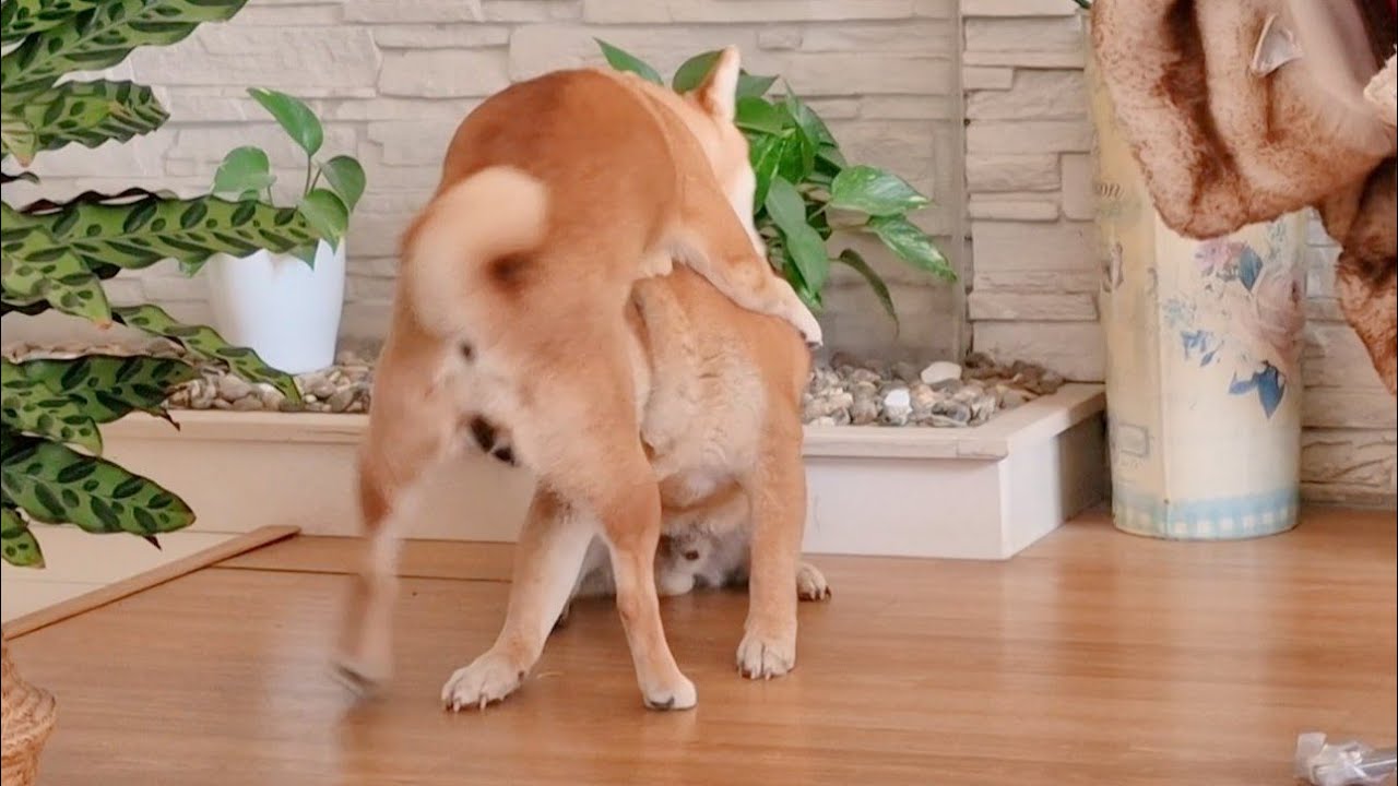 uhm Raya! it's the wrong way!