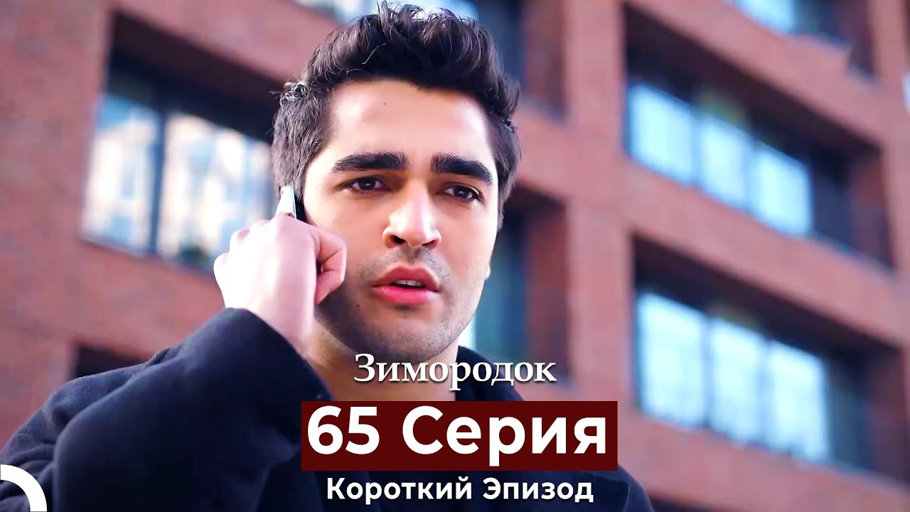 Зимородок 65 Cерия (Короткий Эпизод) (Русский дубляж)
