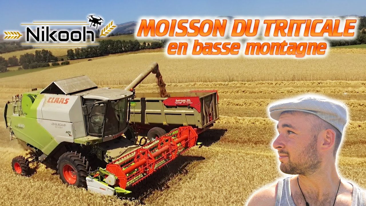MOISSON DU TRITICALE EN BASSE MONTAGNE #Vlog