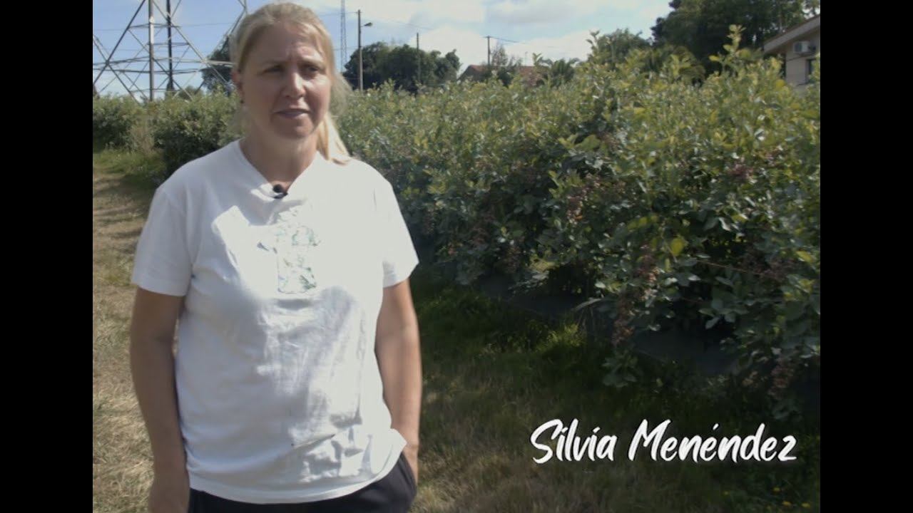 Yo soy rural T5 - Silvia Menéndez Fernández - Arándanos ecológicos Finca Santa Rosa