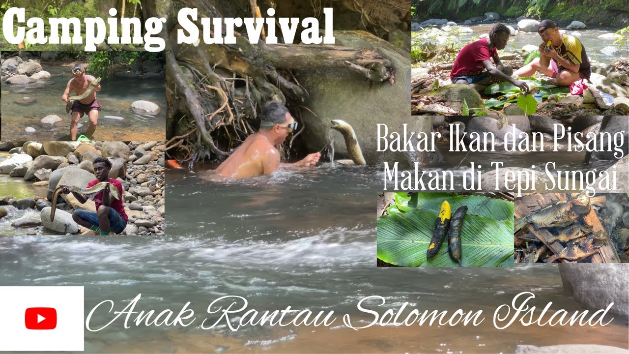 Tak Disangka Sungai Kepulauan Solomon Banyak Sidat Monsternya//Camping Survival//
