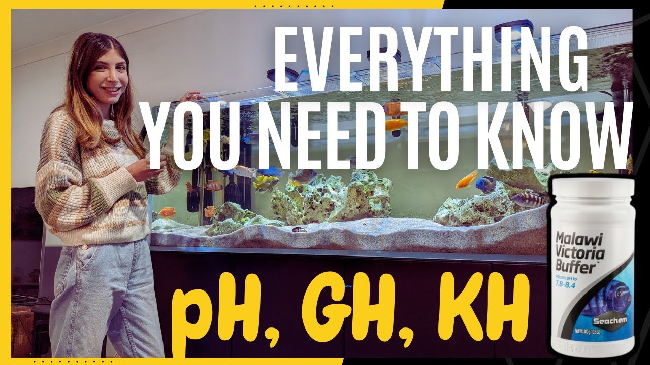 African Cichlid Water Parameters: pH, GH, and KH (everything you need to know!)