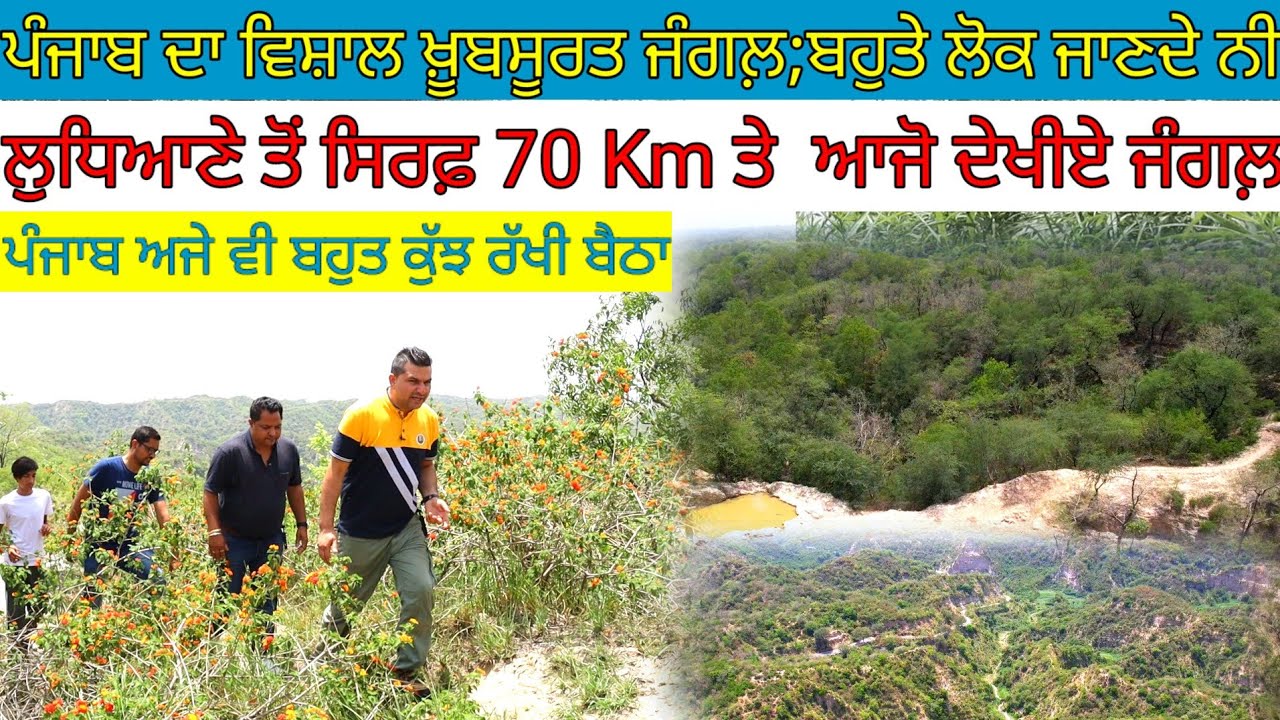 ਪੰਜਾਬ ਦਾ ਵਿਸ਼ਾਲ ਖ਼ੂਬਸੂਰਤ ਜੰਗਲ਼;ਬਹੁਤੇ ਲੋਕ ਜਾਣਦੇ ਨੀ;ਆਜੋ ਘੁੰਮੀਏ|Harbhej Sidhu|Balacauar|Kullar forest|