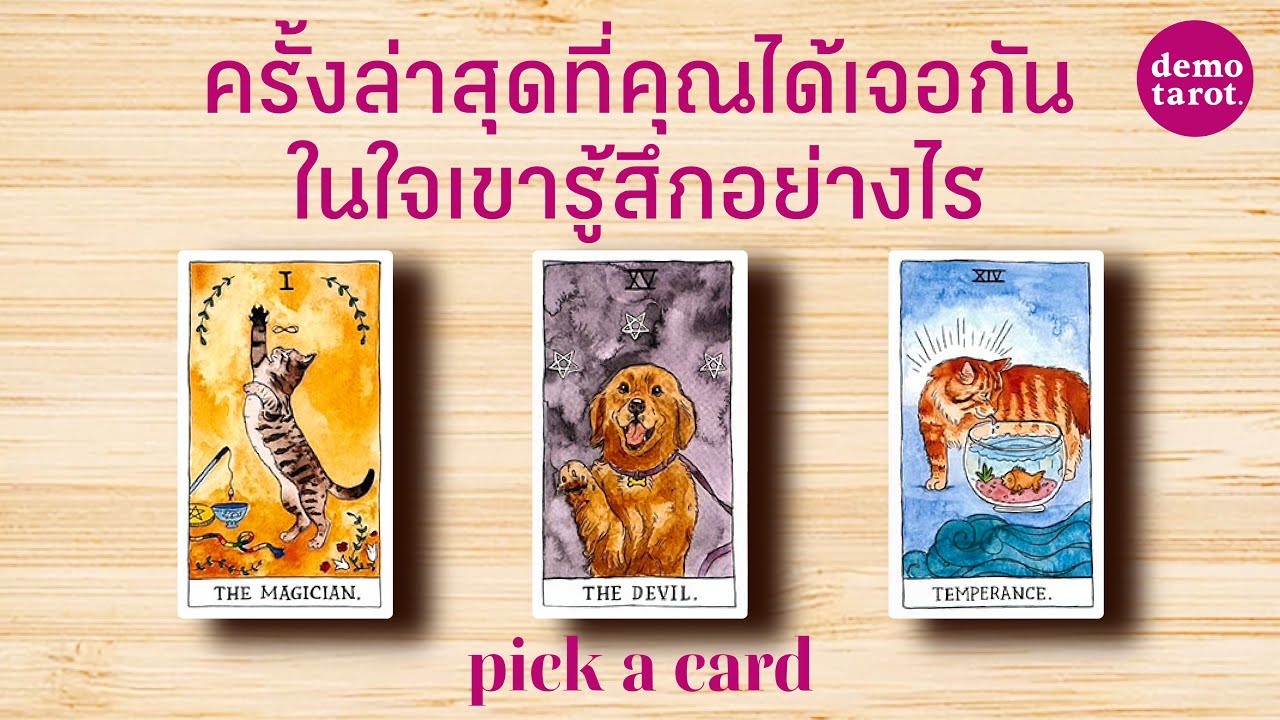 ครั้งล่าสุดที่คุณได้เจอกัน เขารู้สึกอย่างไร อยากเจอคุณอีกไหม? 🌺🩷: PICK A CARD