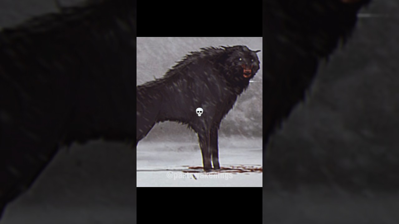 The Dire Wolf..😳 #direwolf #prehistoric #iceage #wolf #extinct #animals