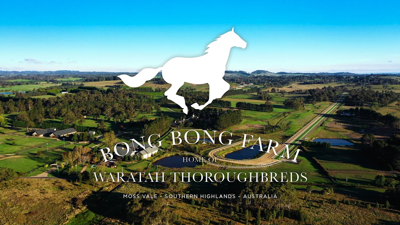 Bong Bong Farm - Inglis Rural Property | Consta Creative