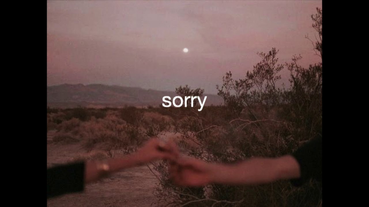 sorry - prettymuch