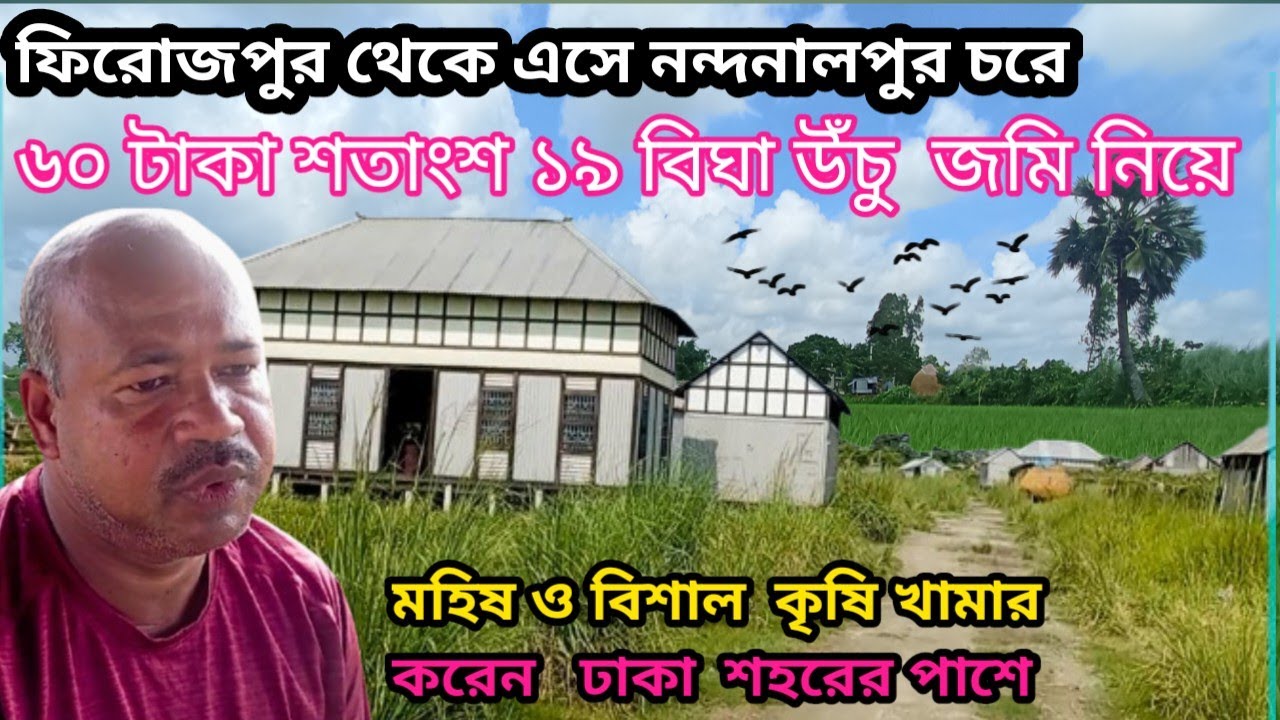 ফিরোজপুর থেকে এসে ঢাকার নিকটে নন্দলালপুর চরে ৬০টাকার শতাংশ১৯বিঘা উচু জমি নিয়ে মহিষ বিশাল খামার করে