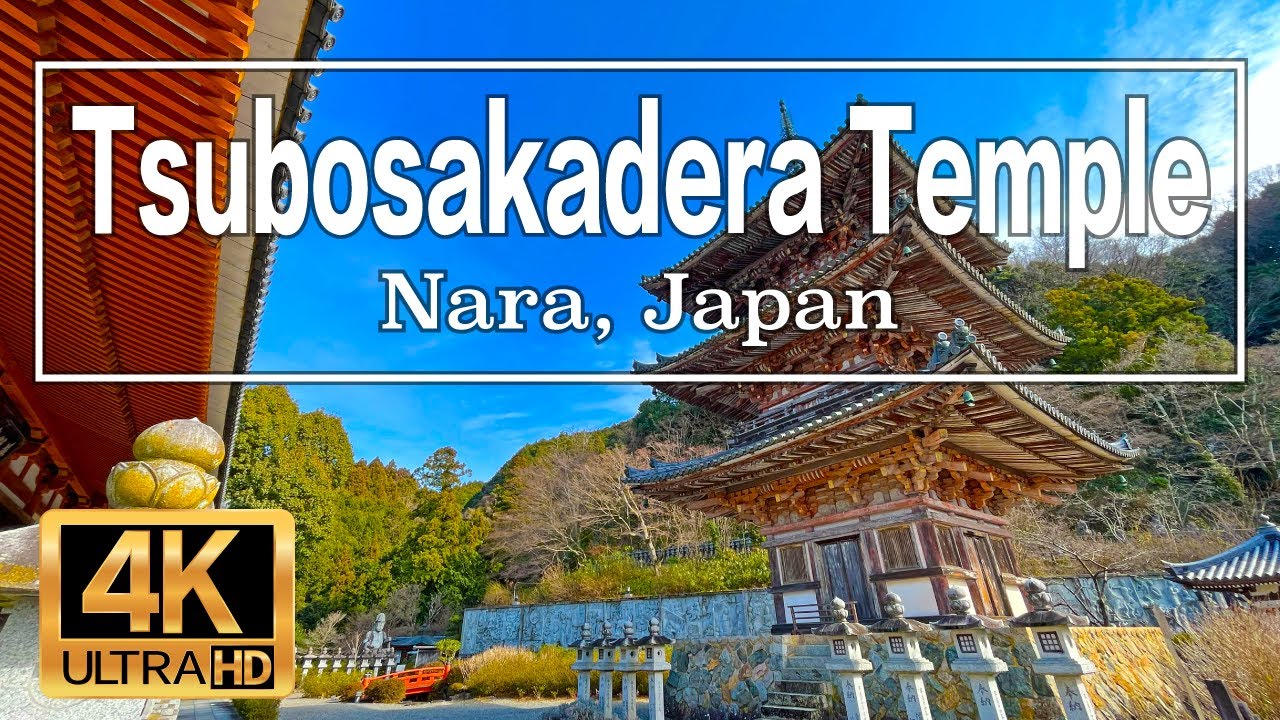 [4K] TsubosakaderaTemple in Nara, Japan. Walk around the area.
