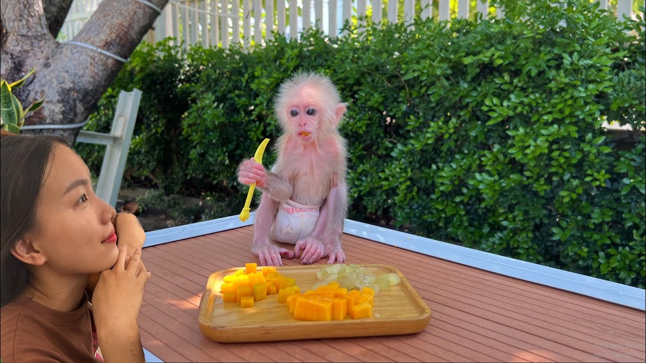 Special things mom gives Mynu every morning