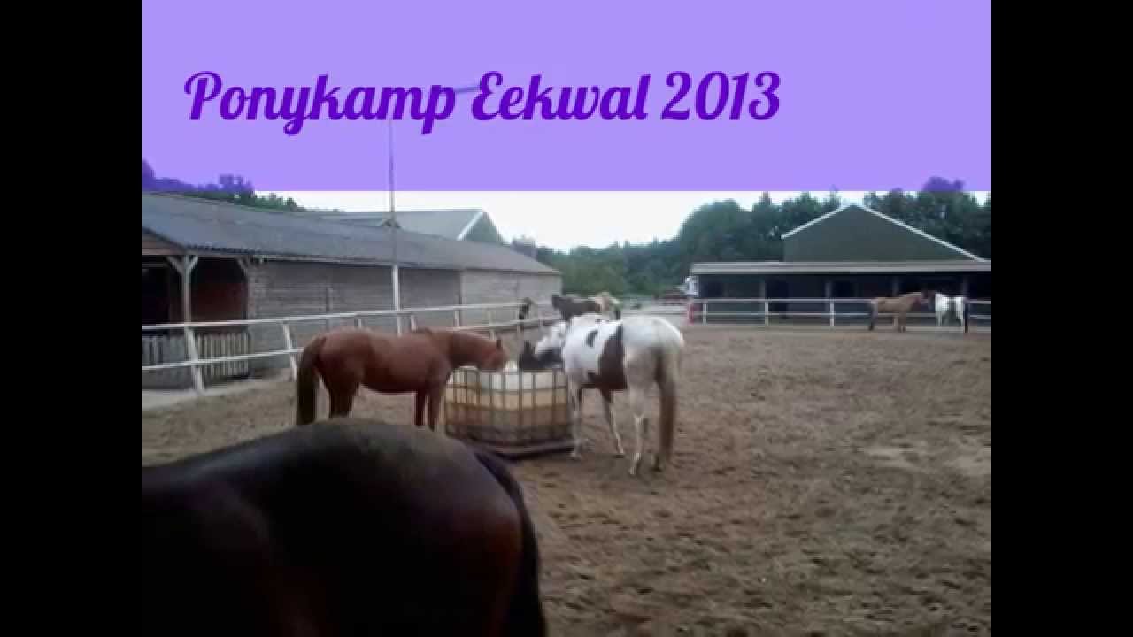 Ponykamp Eekwal 2013