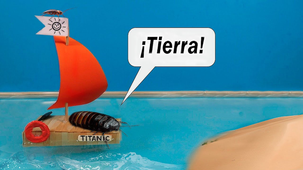 ¡Las peligrosas AVENTURAS de una CUCARACHA de Madagascar en un barco!