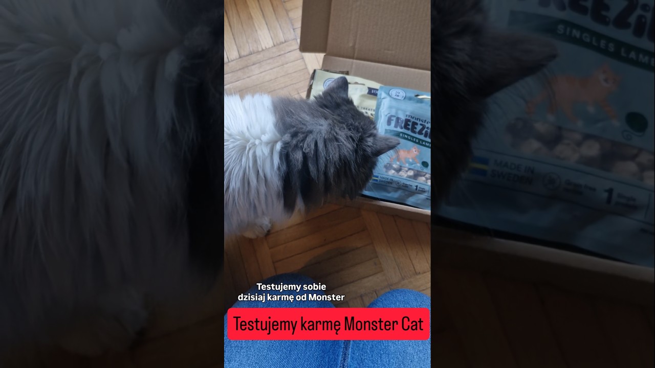 Test karmy Monster Cat @MonsterPetFood-jh2eu