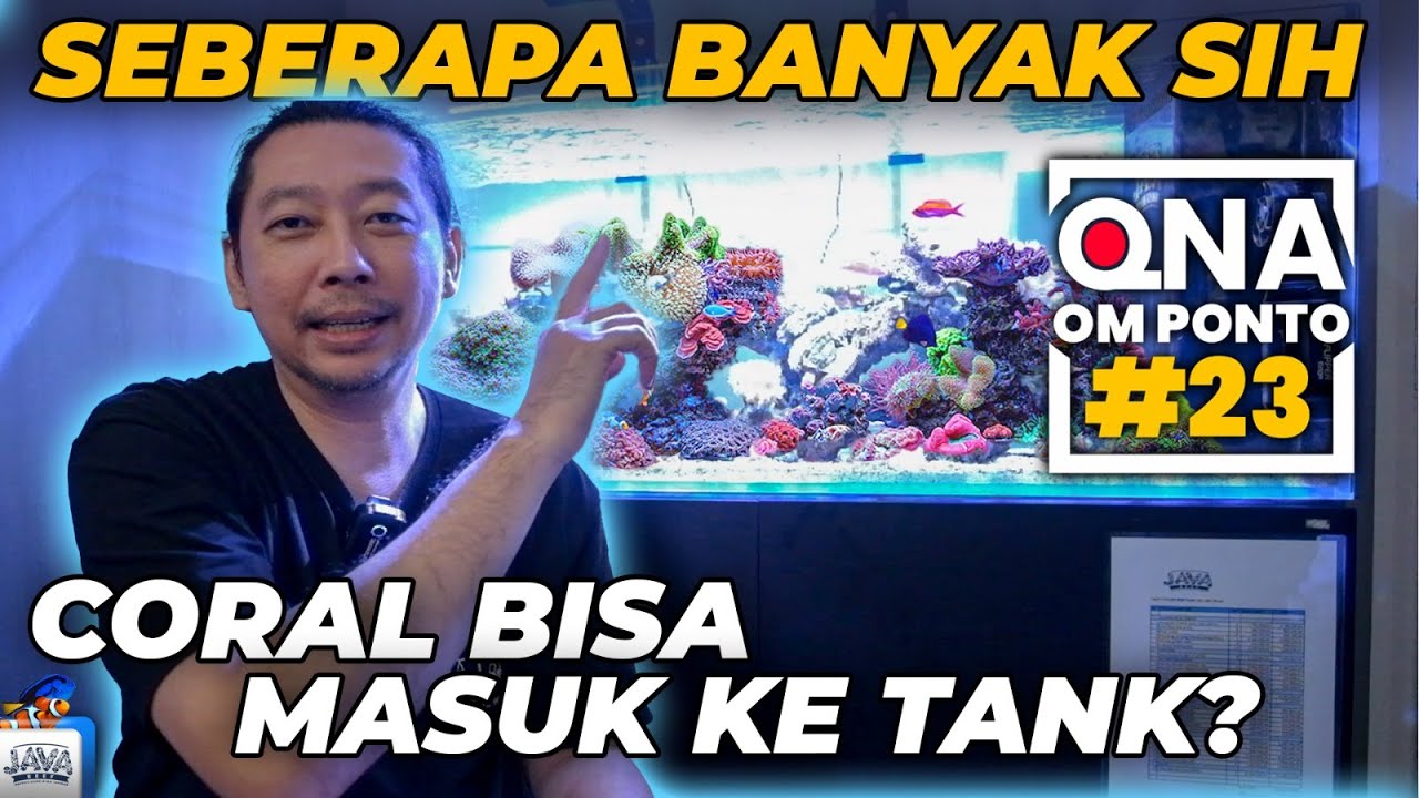 QNA #23 BARENG OM PONTO - SEBERAPA BANYAK SIH CORAL MASUK KE DALAM TANK ?!