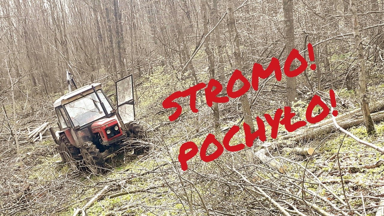NAJGORSZA (PONOĆ) POWIERZCHNIA ZAPLANOWANA NA TEN ROK - zrywka drewna ZETOR i FARMA