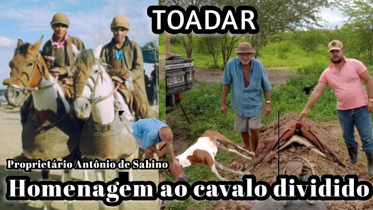 Toadar do Cavalo Dividido , Cantada Por o Poeta Alon Zôa , Um Dos Melhores Cavalo de Sergipe!!