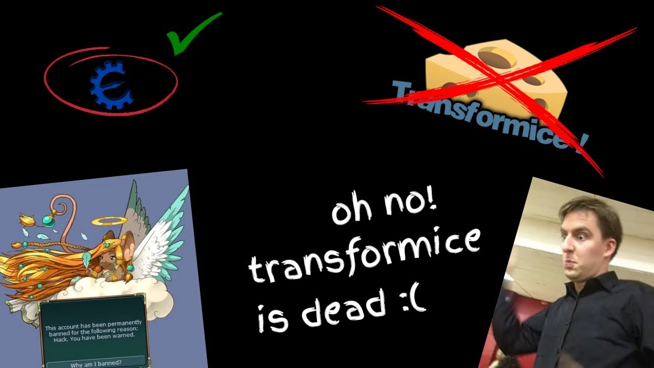 TRANSFORMICE IS A REALLY GOOD GAME.