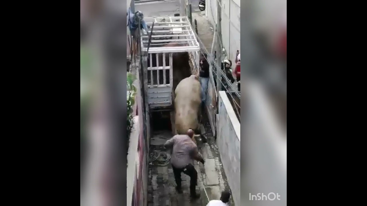 Bakrid 2021 : Fast Feross