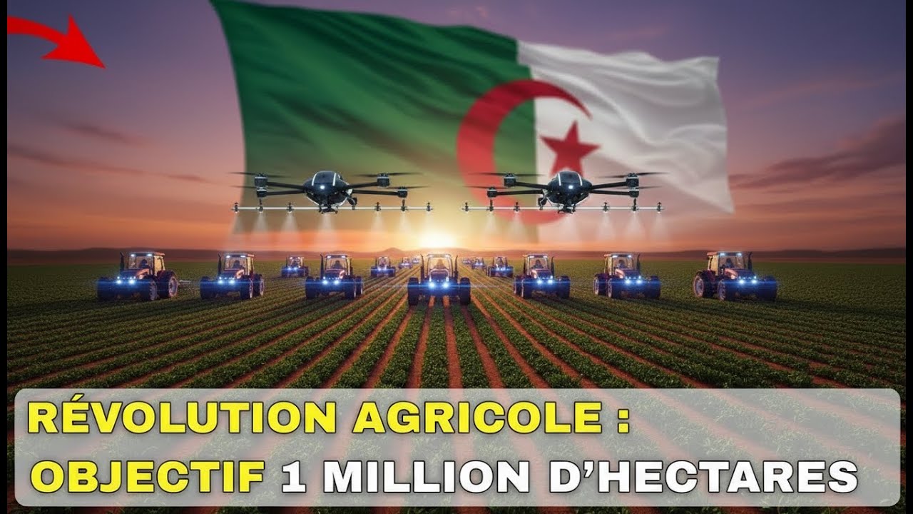 L'Algérie construit une puissance agricole en plein désert, Et voici Pourquoi