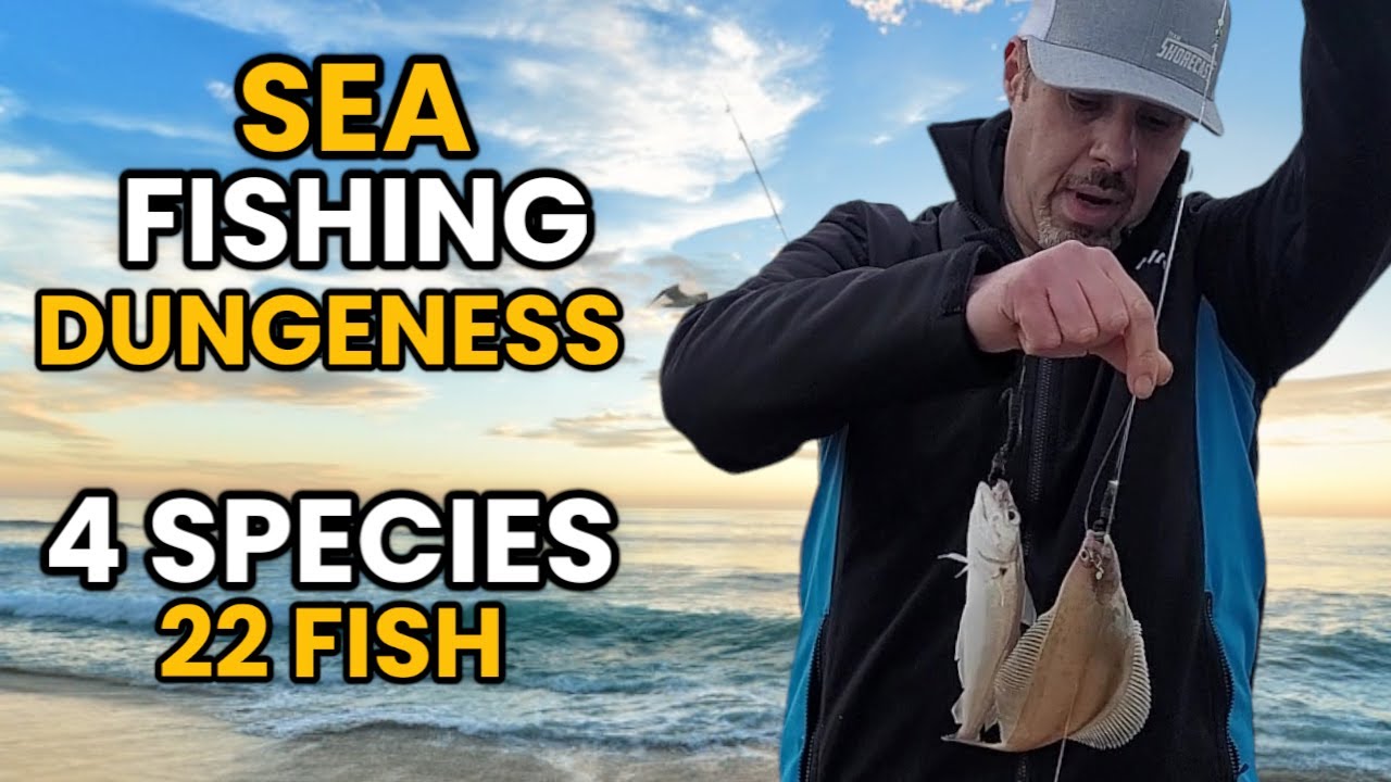 Sea Fishing UK at Dungeness: A Mixed Bag Session! using Pennel Rigs And Clipped down Rigs