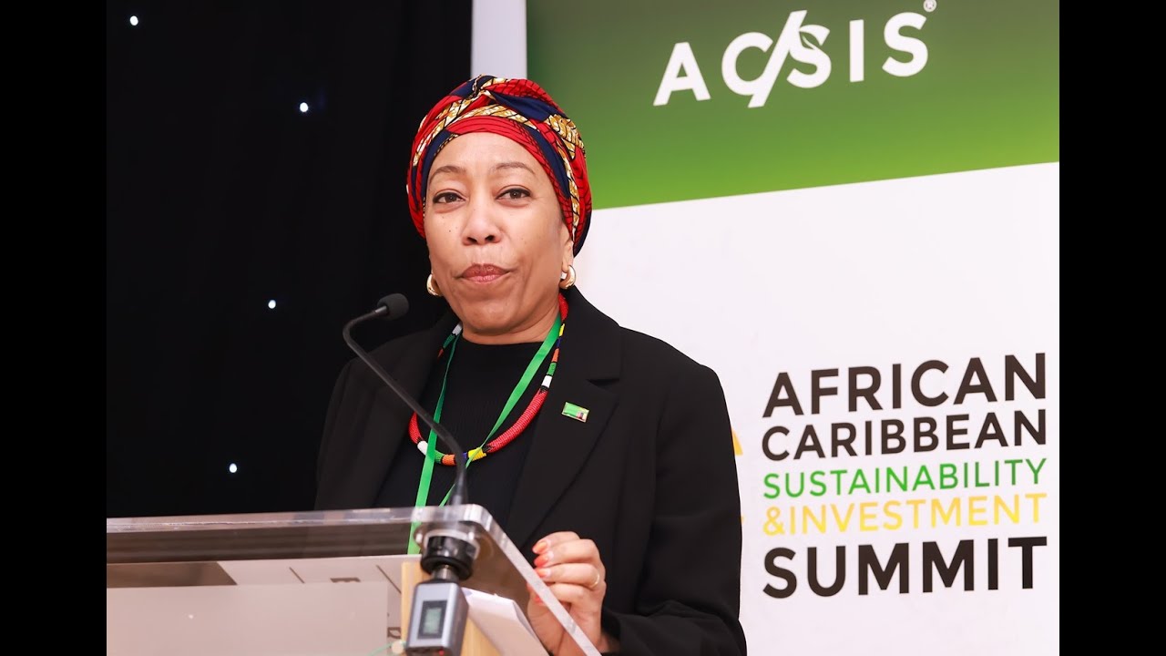 ACSIS 2025   HE Macenue Mazoka, Zambia High Commissioner to the UK