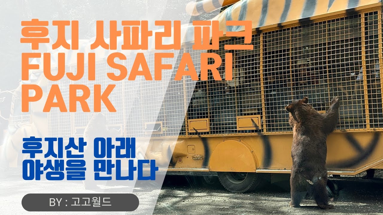 🦁 후지 사파리 파크 | Fuji Safari Park, 후지산 아래 야생을 만나다 Vlog
