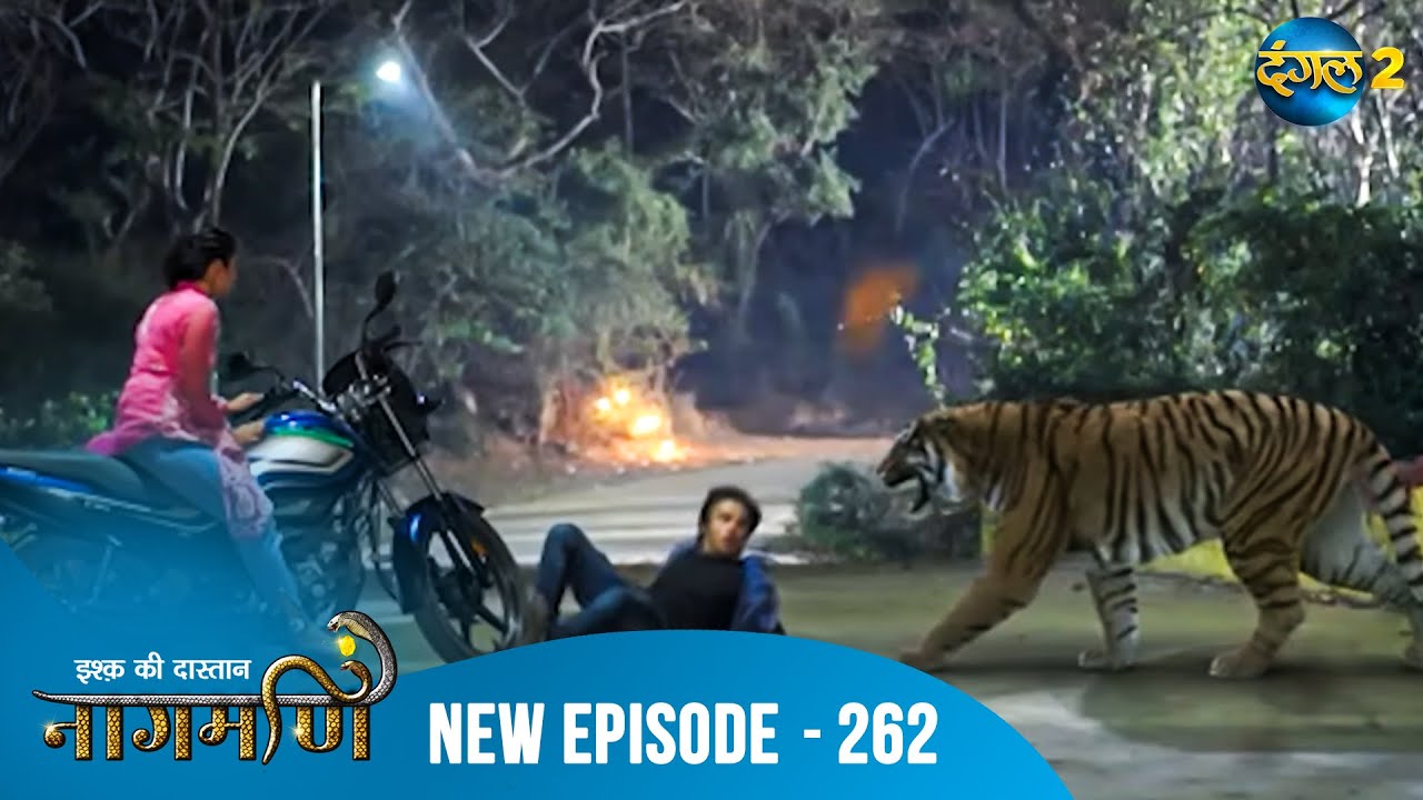 Full Episode - Ishq Ki Dastaan नागमणि  - 263 | Naagmani | Dangal 2 #mohini #paaro #shankar