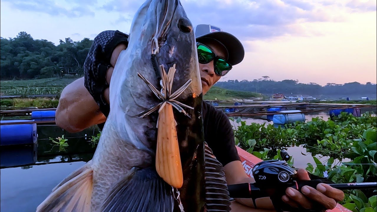 Panik !! Saat serokan jebol ditabrak sama ikan ini | Test Joran Terbaru Jacksvision Indonesia